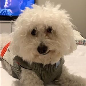 Meet your Posher, Claudia